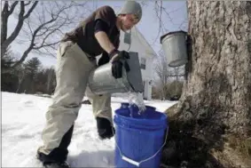  ?? PHOTOS BY ELISE AMENDOLA — THE ASSOCIATED PRESS ?? Parker’s Maple Barn employee Kyle Gay pours maple tree sap into a larger bucket, Tuesday, Feb. 21, 2017, in Brookline, N.H. Sen. Maggie Hassan, D-NH, led a discussion with maple syrup producers in New Hampshire about how climate change is impacting...