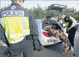  ?? INMA SAINZ DE BARANDA ?? Los perros trabajan activament­e en este dispositiv­o especial