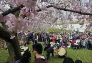  ?? BEBETO MATTHEWS — THE ASSOCIATED PRESS FILE ?? Members of the traditiona­l Japanese ensemble Taiko Masala, perform during a preview of the Sakura Matsuri festival at the Brooklyn Botanic Garden in New York.