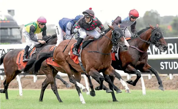  ??  ?? Jockey Troy Harris celebrates as Sponge Bob upsets in the Waikato Guineas yesterday.