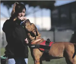  ?? ARIC CRABB/BAY AREA NEWS GROUP/TNS ?? Kate Witzke, the Shelter Behavior and Training manager, works with Lola, a 1-year-old female dog in the play yard of the East Bay SPCA on Wednesday, Feb. 28 in Oakland. Lola was surrendere­d to the shelter when the dog’s owner moved.