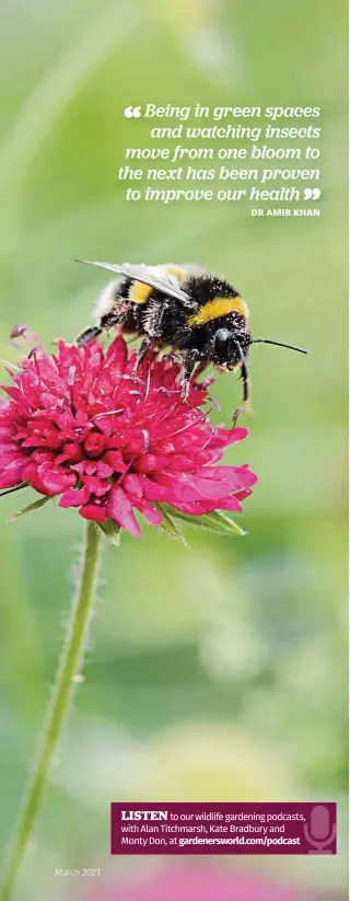  ??  ?? Being in green spaces and watching insects move from one bloom to the next has been proven to improve our health
DR AMIR KHAN
LISTEN to our wildlife gardening podcasts, with Alan Titchmarsh, Kate Bradbury and Monty Don, at gardenersw­orld.com/podcast