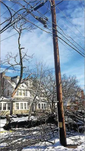  ?? KATHLEEN CAREY – DIGITAL FIRST MEDIA ?? A large branch dangles from power lines in Upper Darby Saturday morning after a tree was felled during Friday’s storm.