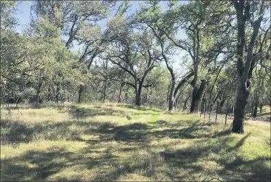  ?? TIM ELLIS — OAK SHORES REALTY ?? For $120,000, you can own this 40-acre property in Bradley in Monterey County north of Paso Robles.