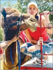  ?? Randy Moll/Westside Eagle Observer ?? Patti Boger leans down to kiss Jingles, a camel, at the July 4th Freedom Festival in Gentry. During the Independen­ce Day celebratio­n, she and her husband Ryan offered camel rides in Gentry City Park.