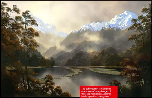  ??  ?? Top-selling artist Tim Wilson’s Haast, one of many images of trees in pristine New Zealand landscapes that have gained him internatio­nal recognitio­n. Wilson believes people respond to the “emotional impact” of light filtered through trees.