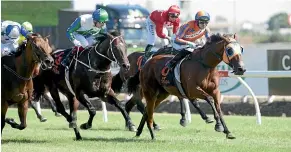  ?? TRISH DUNELL ?? Melody Belle takes the BCD Group Sprint yesterday at Te Rapa.