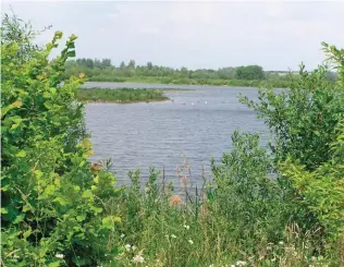  ??  ?? Large areas of the UK – such as Stanwick Lakes, Northampto­nshire, are protected by the EU’s Birds Directive. Will such protection­s extend beyond a no-deal Brexit?