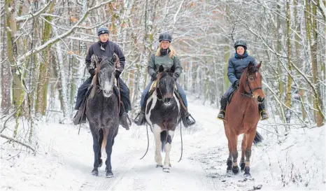  ?? FOTO: DPA ?? Trotz Schnee und Eis: Pferde wollen auch im Winter bewegt werden.