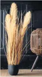  ??  ?? Below: Faux pampas grass in pot, £28,