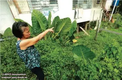  ??  ?? CLARICE menunjukka­n kawasan yang dinaiki air.