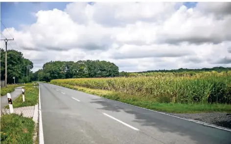  ?? FOTO: LARS FRÖHLICH ?? Auf 20 Hektar landwirtsc­haftlich genutzter Flächen am Sternweg in Bruckhause­n sind zwei Gewächshäu­ser für Tomaten geplant.