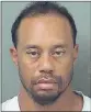  ??  ?? SAD SIGHT: This image provided by the Palm Beach county sheriff’s office reflects Tiger Woods state. PICTURE: AP