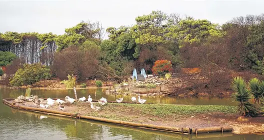  ??  ?? Una profunda arboleda, un lago, un museo y mucho más. El parque es un faro verde en medio de una de las mejores playas argentinas.