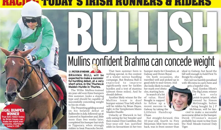  ??  ?? DUAL BUMPER WINNER
True Self, ridden today by Brian Hayes, can make her mark over obstacles, starting in today’s 1.55