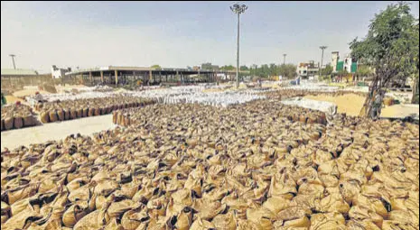  ?? SANJEEV KUMAR/HT ?? A glut-like situation in a grain market in Bathinda on Monday.