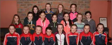 ??  ?? The Kilanerin/Ballinastr­ragh Gaels Under-12 dream team, winners of six titles in 2016.