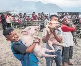  ?? ALBERT IVAN DAMANIK AFP/GETTY IMAGES ?? The Pig and Pork Lake Toba Festival in Muara is a Christian celebratio­n of pigs and an act of dissent.