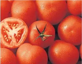  ?? DIDYK/E+ VIA GETTY ?? Standard size tomato plants need a 25-gallon container filled with a good potting soil.