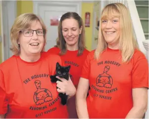  ??  ?? Volunteers at the The Moggery cat rescue centre in Bishopston­e