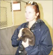  ?? Katie West • Times-Herald ?? The Forrest City Area Humane Society is in need of a few good volunteers and some supplies for the animals. Above, Gay Schwartz and Ruth Ann Vowan review several new dogs surrendere­d to the shelter. At right, Blues City Animal Rescue, one of the rescue partners the shelter often works with, spends time with a set of puppies the rescue helped find homes for. The shelter is currently in need of paper towels, Purina Complete Puppy Chow and treats.