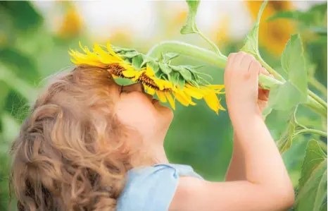  ?? PHOTO: ISTOCK ?? Maybe we can take a leaf from old farming techniques to help our children grow into happy and resilient adults.