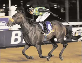  ?? Picture: Nkosi Hlophe ?? looks to be a fair sort and Jet Masters love this surface so he should be in the mix in the sixth on the Greyville polytrack tomorrow.
TELL THE TALE