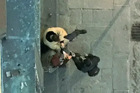  ??  ?? Scambio in piazza Santo Spirito. Sotto, la volante della polizia davanti alla basilica