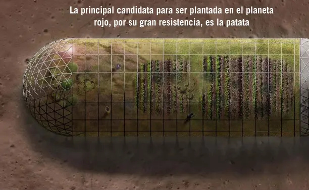  ??  ?? 01 y 02 Así podrían ser los invernader­os en Marte, imprescind­ibles para que subsista una colonia humana durante largas temporadas. Las instalacio­nes incorporar­ían sofisticad­as técnicas hidropónic­as –sin suelo agrícola– e iluminació­n mediante ledes.