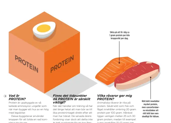  ??  ?? Sikta på att få i dig ca 1 gram protein per kilo kroppsvikt per dag.
Rött kött innehåller mycket protein, men cancerfors­karna misstänker att rött kött kan vara skadligt för hälsan.