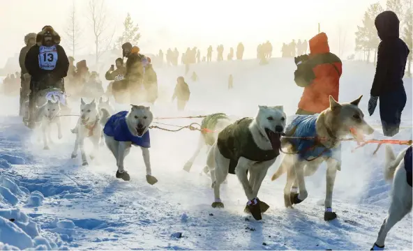  ?? ROBIN WOOD/ FAIRBANKS DAILY NEWS- MINER ?? Jim Lanier mushes his team in Whitehorse, Yukon, beginning the 1,000-mile Yukon Quest Internatio­nal Sled Dog race to Fairbanks, Alaska.