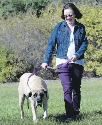  ?? BRYAN SCHLOSSER ?? Sharilyn McCracken walks one of her dogs, Molly, 12 years after a double lung transplant.