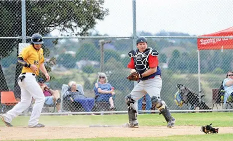  ?? PHOTO: KEVIN FARMER ?? LOOKING FOR AN OUT: Toowoomba Rangers’ coach and catcher Tony Tarca in action against Pine Hills in their season-opening round two weekends ago at Commonweal­th Oval.