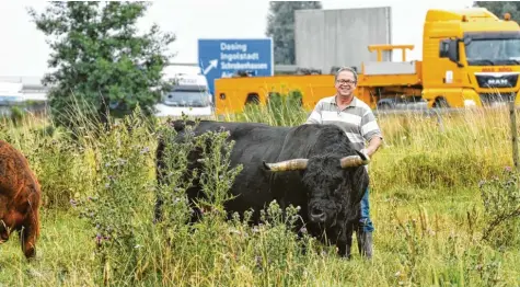  ?? Foto: Silvio Wyszengrad ?? Joe Engelhardt, 59, ist der Mann, der die über 200 schottisch­en Hochlandri­nder an der Autobahn A 8 betreut. Die Tiere sind als lebende Rasenmäher das ganze Jahr im Einsatz. Und das Beweidungs­projekt leistet seit 2011 auch einen wichtigen Beitrag zum Naturschut­z.