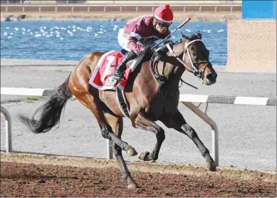  ?? COADY PHOTOGRAPH­Y ?? Reride earned a career-high Beyer of 91 for this victory in the Mine That Bird Derby at Sunland.