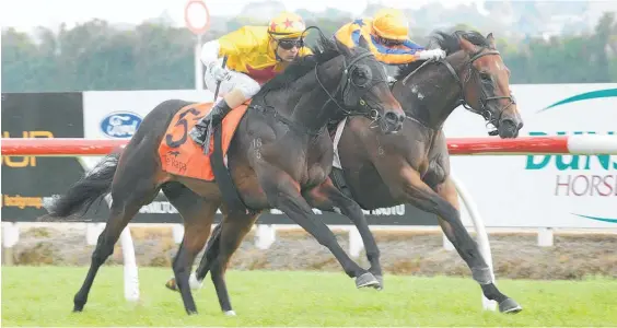  ?? Photo / Trish Dunell ?? Sword Of Osman (right) holds out Qiji Express in the Sarten Memorial at Te Rapa last month.