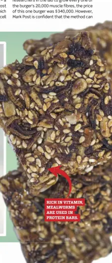  ??  ?? RICH IN VITAMIN, MEALWORMS ARE USED IN PROTEIN BARS.