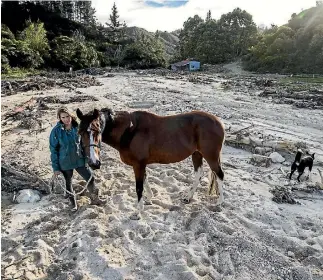  ?? PHOTO: BRADEN FASTIER/STUFF ?? Marie Palzer walks her horse, Bear, from a paddock littered with logging waste after ex tropical cyclone Gita swept through the region last week.