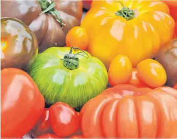  ?? FOTO: COLOURBOX ?? Alle Farben, Größen und Aromen: Wer am Ende die schmackhaf­testen Tomaten ernten will, sollte ruhig verschiede­ne Sorten ausprobier­en.