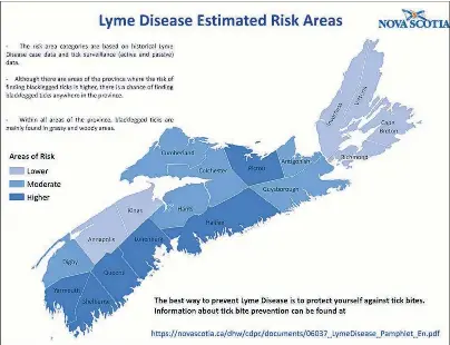 beating lyme