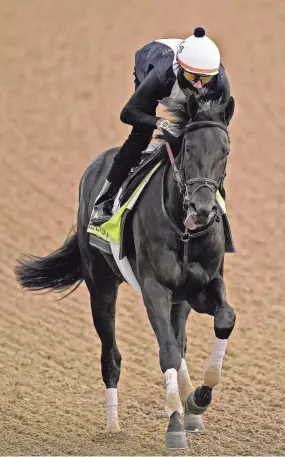  ?? CHARLIE RIEDEL/AP ?? Kentucky Derby entrant Zandon goes through a workout Wednesday at Churchill Downs in Louisville, Ky.