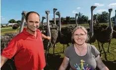  ?? Archivfoto: B. Weizenegge­r ?? Horst und Susanne Engelhardt verkaufen ihre Straußenpr­odukte ab Hof. Künftig bieten sie auch Blühfläche­n an, für die Paten gesucht werden.