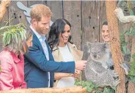  ??  ?? Meghan thought the koalas were ‘so, so, sweet’