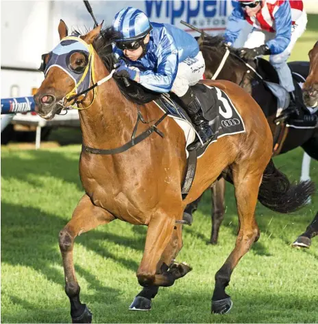  ?? Photo: Nev Madsen ?? SOLID RUN: Nozi Tomizawa and Mr Chow complete their win in the Benchmark 75 Handicap at Clifford Park.