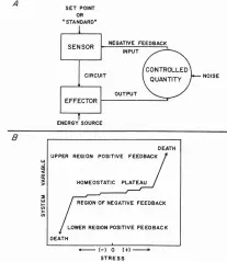  ??  ?? Biyolog Eugene Odum’un Fundamenta­ls of Ecology adlı kitabında betimlediğ­i termostatı­n çalışma prensibini ve geribeslem­esini gösteren diyagramı (Odum, W.B. Saunders Company, Londra, 1971, s. 34).