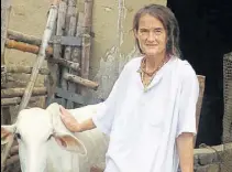  ?? PTI PHOTO ?? Germannati­onal Friederike Irina Bruning takes care of roughly 1,200 cows and calves, in Radha Kund, Mathura.