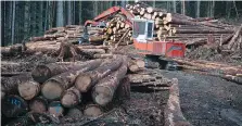  ?? JONATHAN HAYWARD/THE CANADIAN PRESS ?? Most Canadian lumber producers now face U.S. levies ranging from 26.75 per cent to 30.88 per cent.