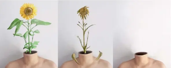  ??  ?? La artista veragüense expone sus obras a través del arte digital.
Herrera toma como referencia las flores y las plantas.
María está trabajando en un ‘collage’ y otras técnicas que le permitan dar a conocer su mensaje artístico.