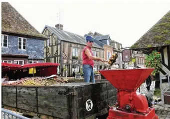  ??  ?? On pressera les pommes selon la tradition, le 22 octobre (photo d’archives).