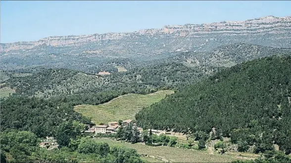  ?? VICENÇ LLURBA ?? El Montsant recorta el horizonte en gran parte de la comarca, que plantea la conservaci­ón del paisaje como motor de futuro